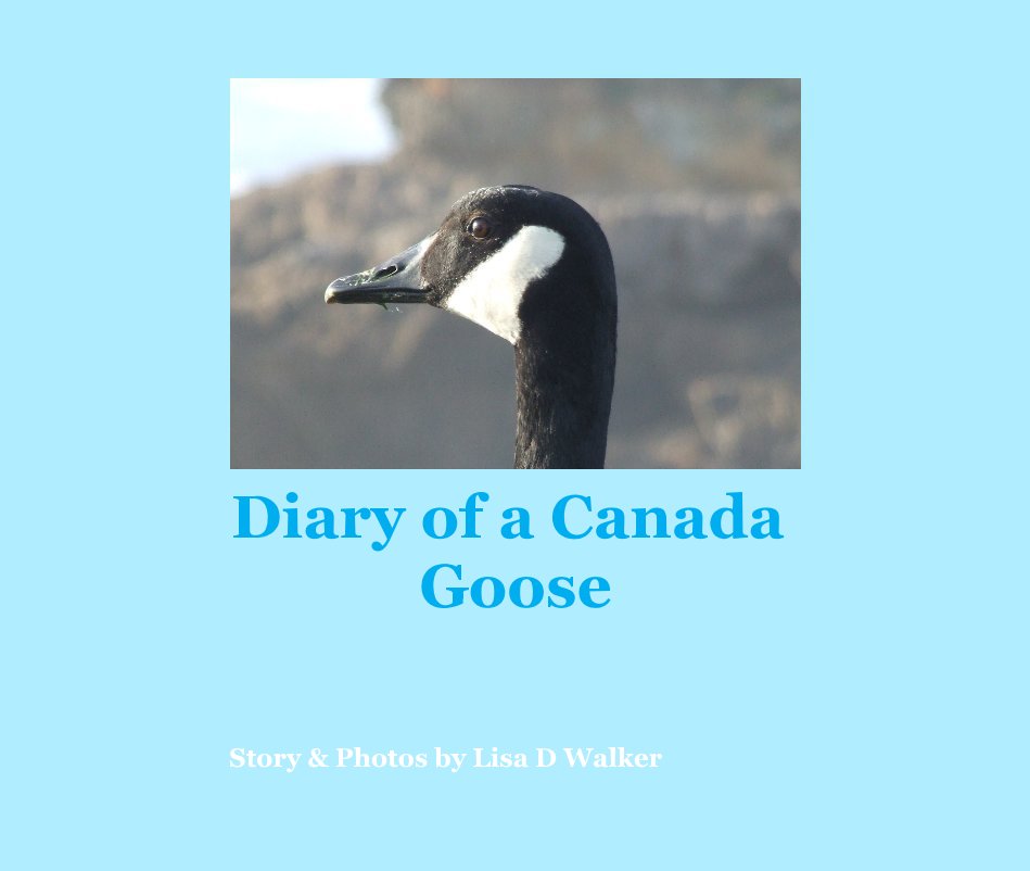View Diary of a Canada Goose by Lisa D Walker, photos by the author