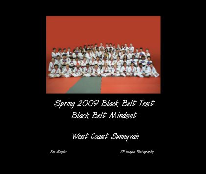 Spring 2009 Black Belt Test Black Belt Mindset book cover