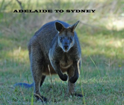 ADELAIDE TO SYDNEY book cover