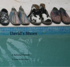 David's Shoes book cover