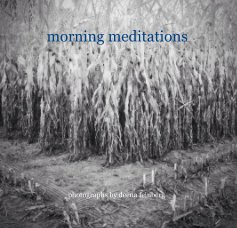 morning meditations book cover