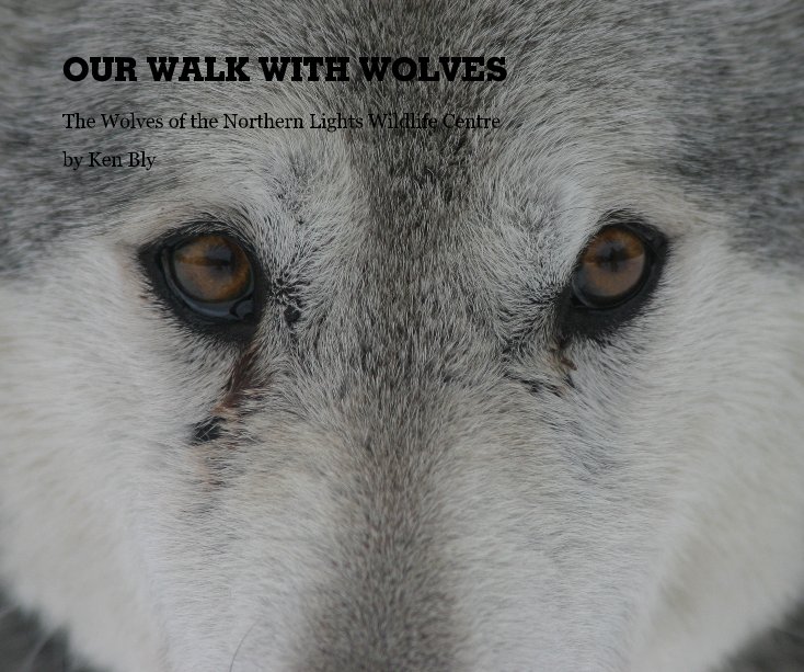 OUR WALK WITH WOLVES nach Ken Bly anzeigen