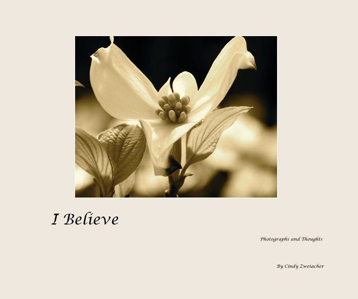Ver I Believe por Cindy Zweiacher