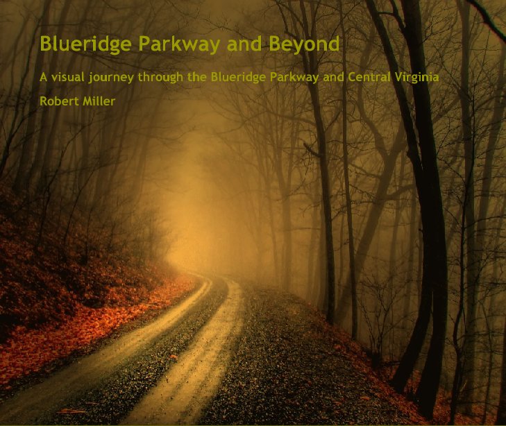 View Blueridge Parkway and Beyond by Robert Miller