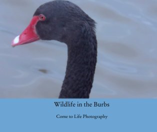 Wildlife in the Burbs book cover