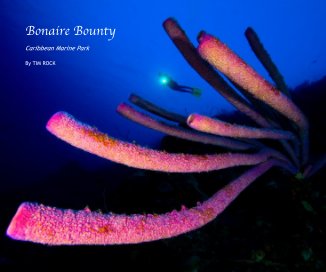 Bonaire Bounty book cover