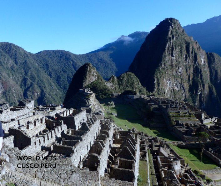 View World Vets Cusco Peru by Dee Barclay