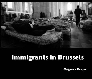 Immigrants in Brussels book cover