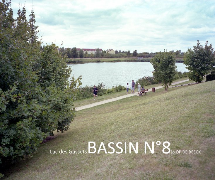 View BASSIN N° 8 by Jo OP DE BEECK