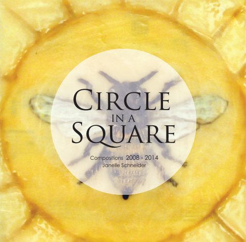 View Circle in a Square by Janelle Schneider