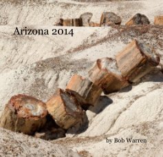 Arizona 2014 book cover