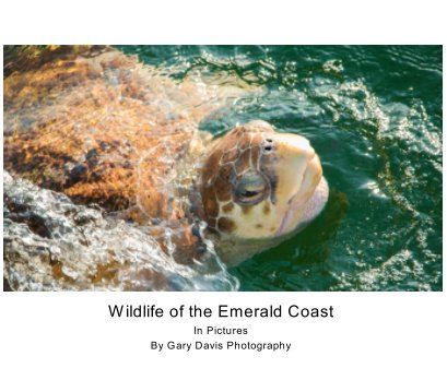 Emerald Coast Wildlife book cover