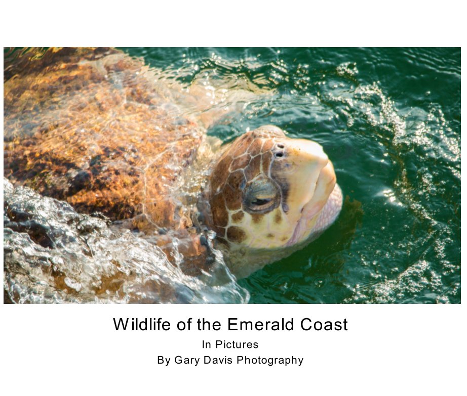 Visualizza Emerald Coast Wildlife di Gary Davis Photography