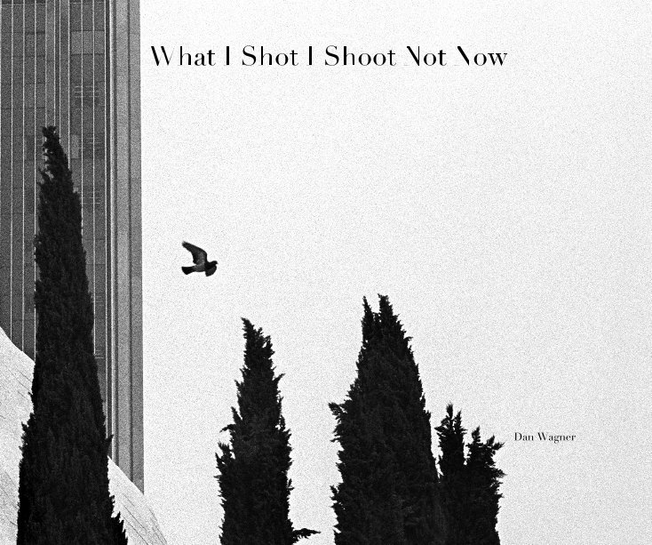 View What I Shot I Shoot Not Now by Dan Wagner