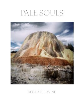 PALE SOULS book cover