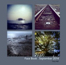 Face Book . September 2014 book cover