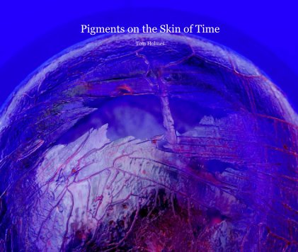 Pigments on the Skin of Time Tom Holmes book cover