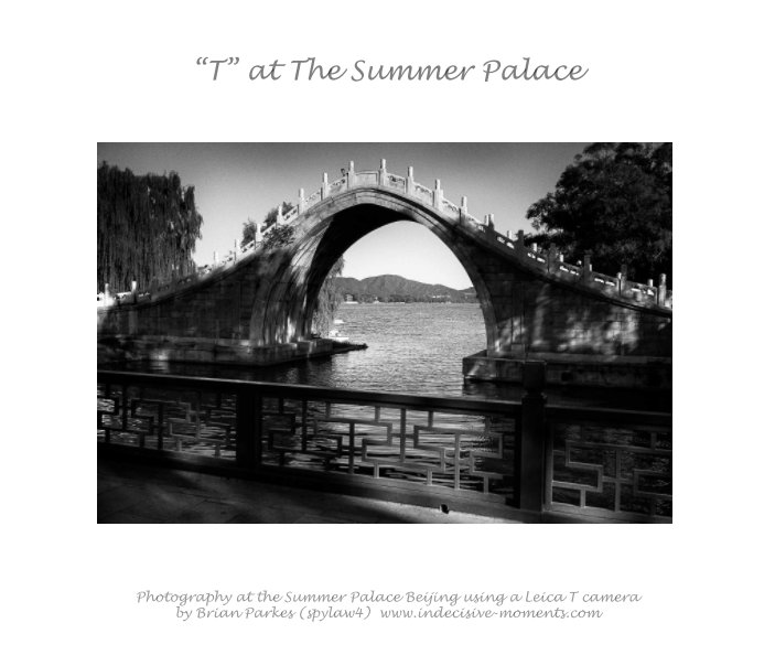 Ver "T" at the Summer Palace por Brian Parkes