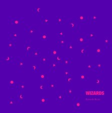 WIZARDS book cover