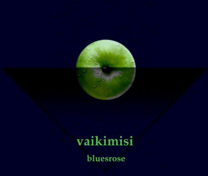 vaikimisi book cover