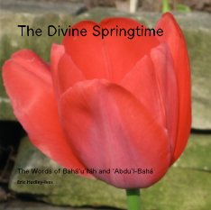 The Divine Springtime book cover
