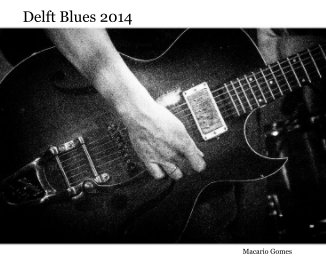 Delft Blues 2014 book cover