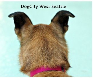 DogCity West Seattle book cover