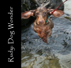 Rudy: Dog Wonder book cover