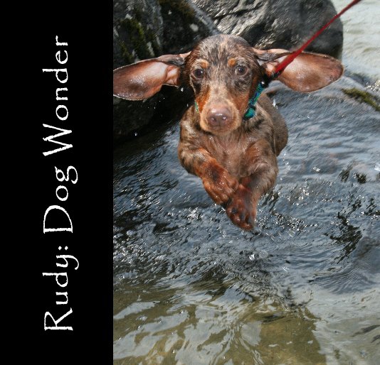 View Rudy: Dog Wonder by ddfifield
