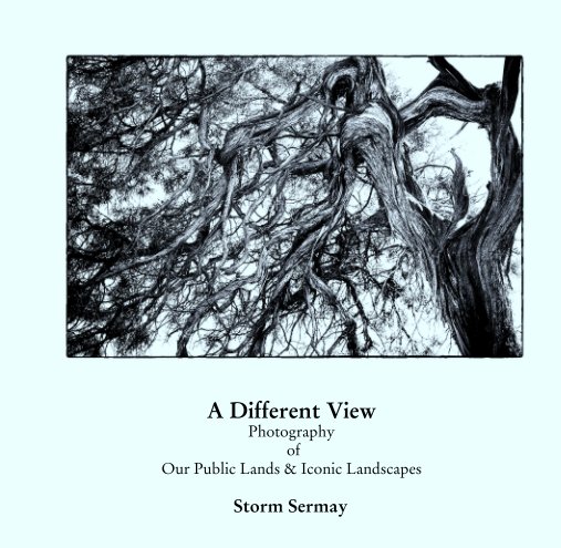 View A Different View by Storm Sermay