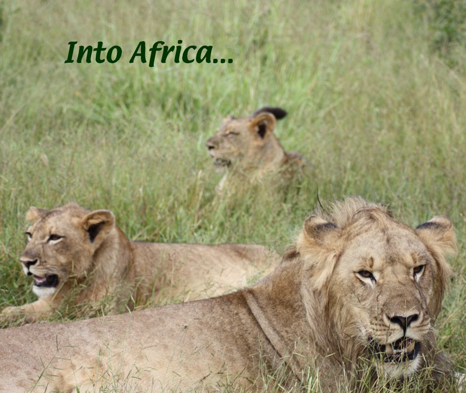 Ver Into Africa... por Annette Hutchinson