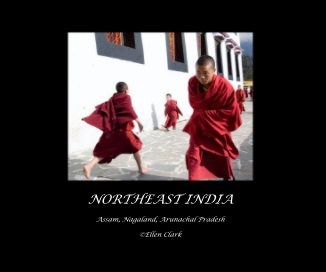 NORTHEAST INDIA book cover