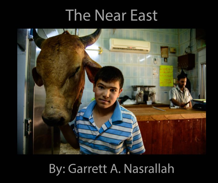 Ver The Near East por Garrett A Nasrallah