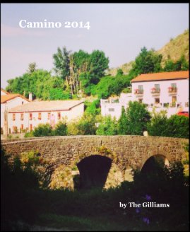 Camino 2014 book cover