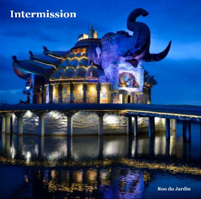 Intermission book cover