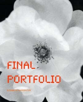 Final Portfolio book cover