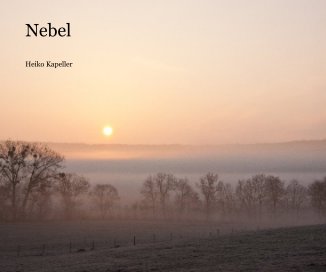 Nebel book cover