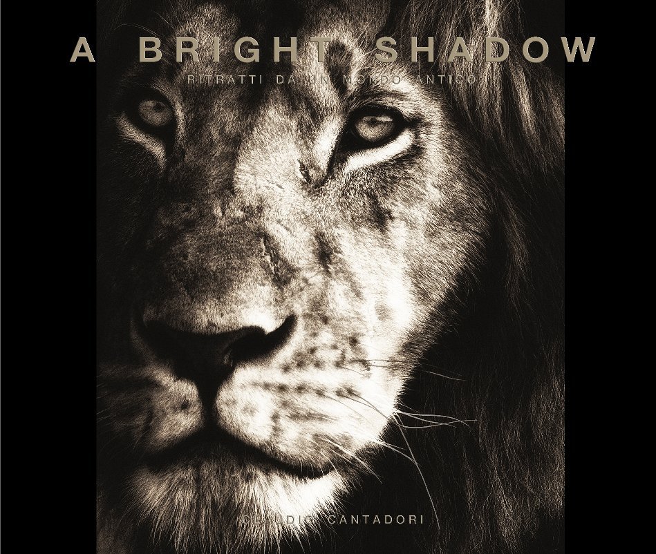 Ver A Bright Shadow por Claudio Cantadori