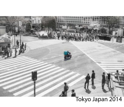 Tokyo Japan 2014 book cover