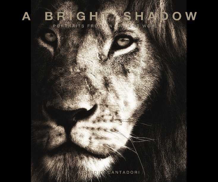 Bekijk A Bright Shadow op Claudio Cantadori