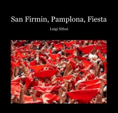 San Firmin, Pamplona, Fiesta book cover