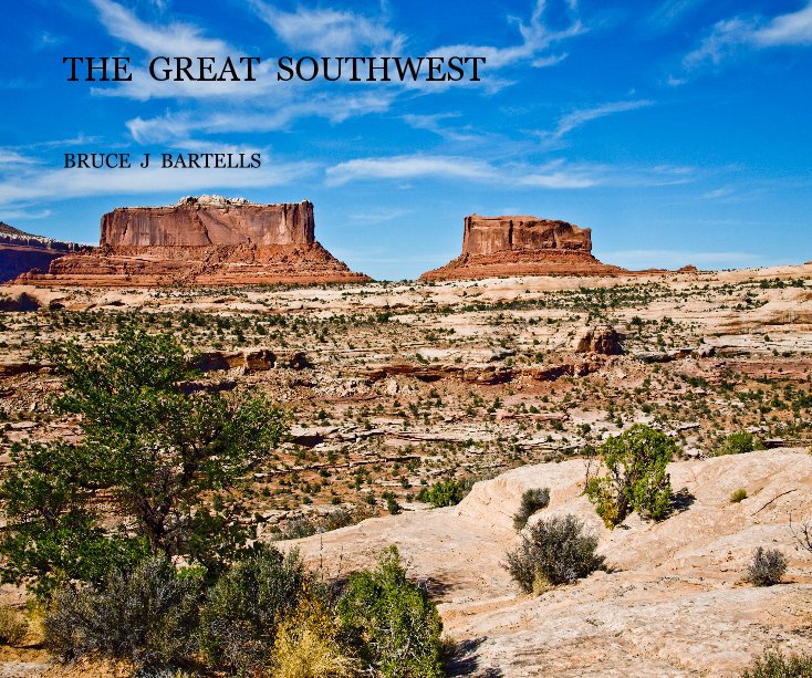 View THE GREAT SOUTHWEST by BRUCE J BARTELLS