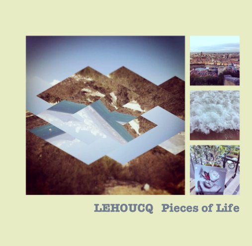 Bekijk LEHOUCQ   Pieces of Life op Michel LEHOUCQ