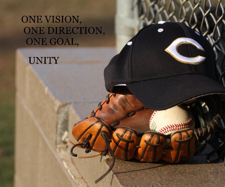 View ONE VISION, ONE DIRECTION, ONE GOAL, UNITY by Steven Murphree