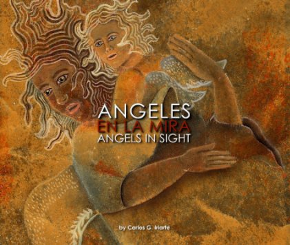 Angels in sight book cover