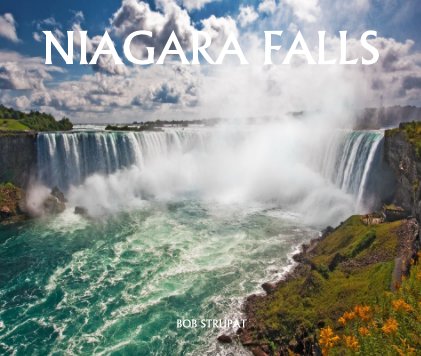 Niagara Falls book cover