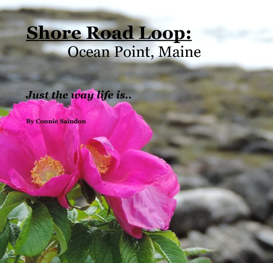 View Shore Road Loop: Ocean Point, Maine by Connie Saindon