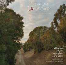 Superficial LAndscapes book cover