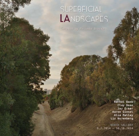 View Superficial LAndscapes by Cerritos College Art Gallery