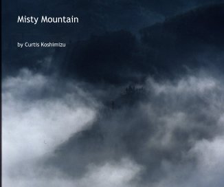 Misty Mountain book cover